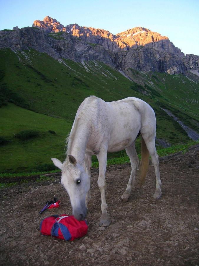 Ferienwohnungen Kerber Бах Экстерьер фото